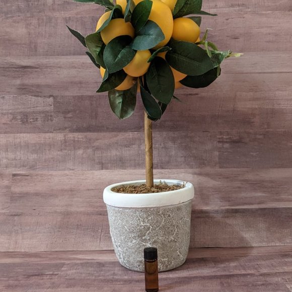 Aveda VALENCIA Key Element #7 Air Nature RETIRED RARE ORIGINAL FORMULA Medium Sz - Picture 12 of 12